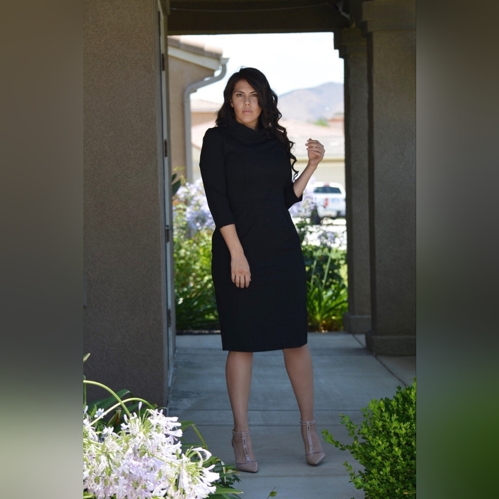 Skirt Society Milan Dress. NWT - Picture 2 of 5